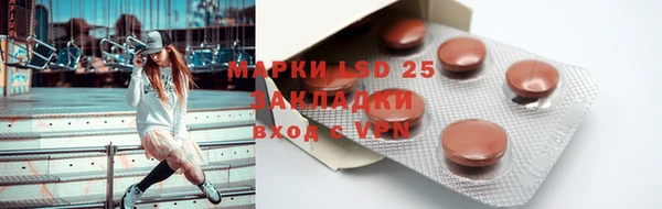 ПСИЛОЦИБИНОВЫЕ ГРИБЫ Дмитриев