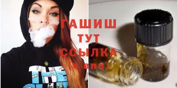 ПСИЛОЦИБИНОВЫЕ ГРИБЫ Дмитриев