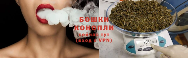 ПСИЛОЦИБИНОВЫЕ ГРИБЫ Дмитриев