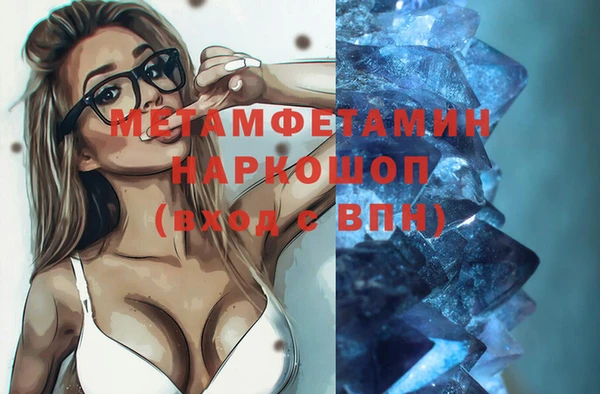 ПСИЛОЦИБИНОВЫЕ ГРИБЫ Дмитриев