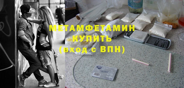 ПСИЛОЦИБИНОВЫЕ ГРИБЫ Дмитриев