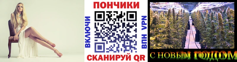 Купить где  Ипатово  Шишки марихуана индика 